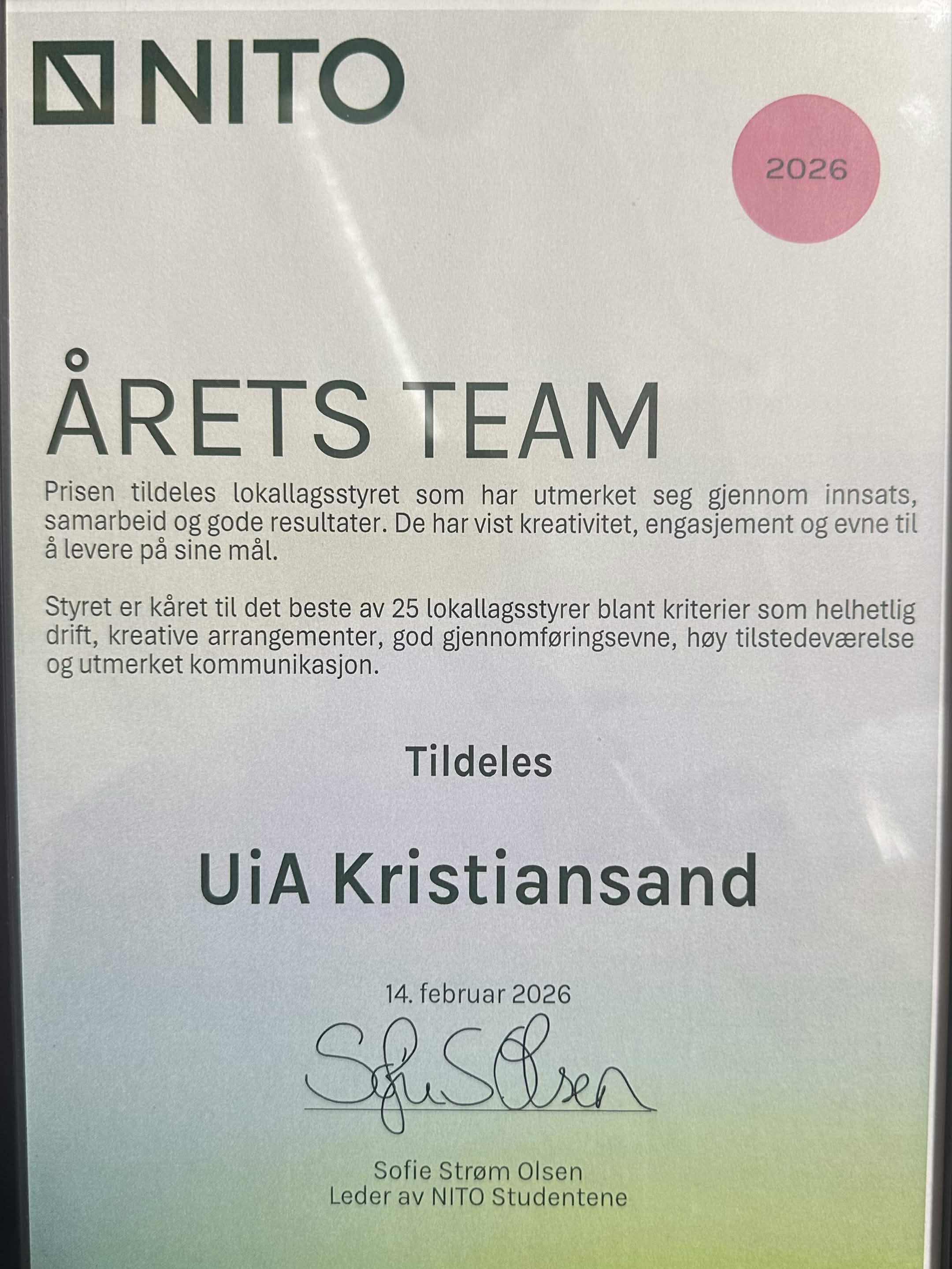 Vinnere av årets team